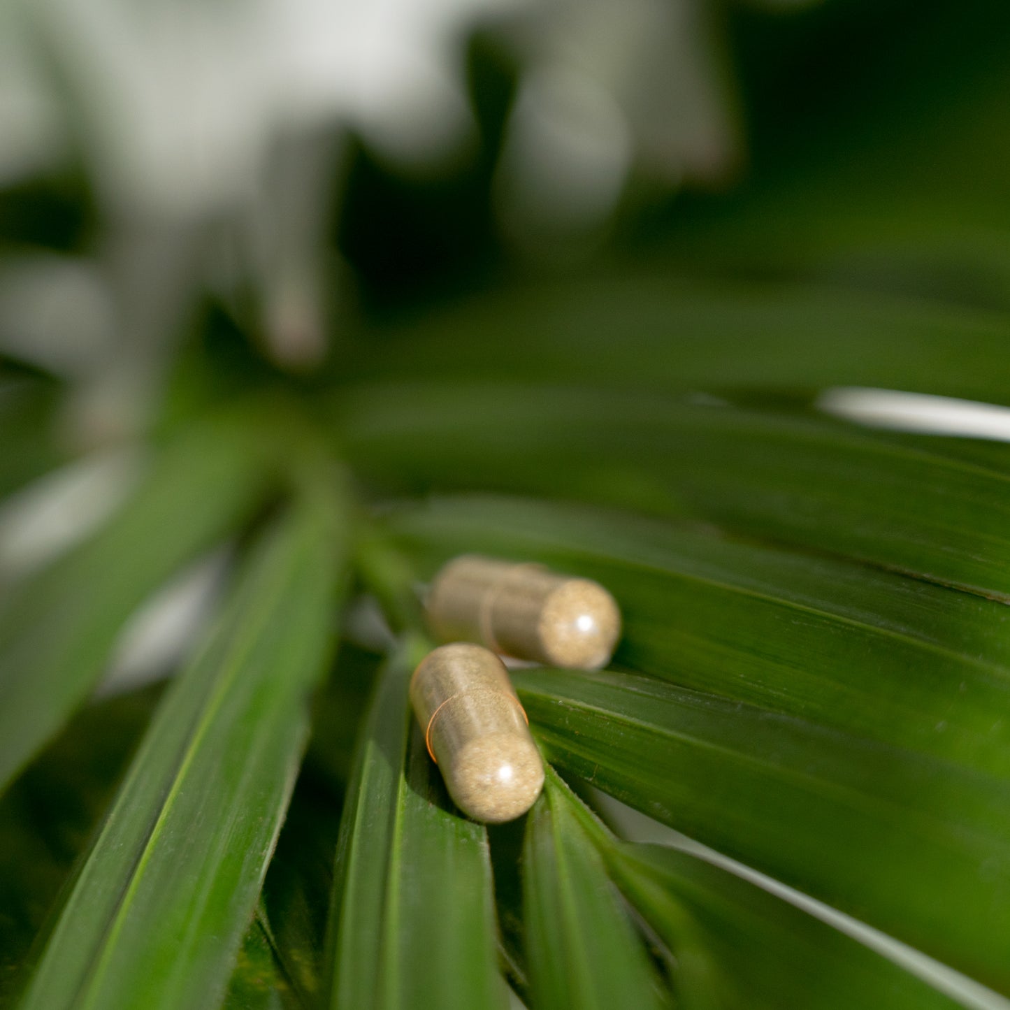 Haut Haar hochdosiert – Biotin, Zink, Selen für Schönheit