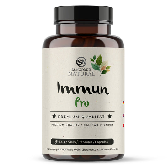 Immun Pro Kapseln Dose – 12 Aktivstoffe fürs Immunsystem