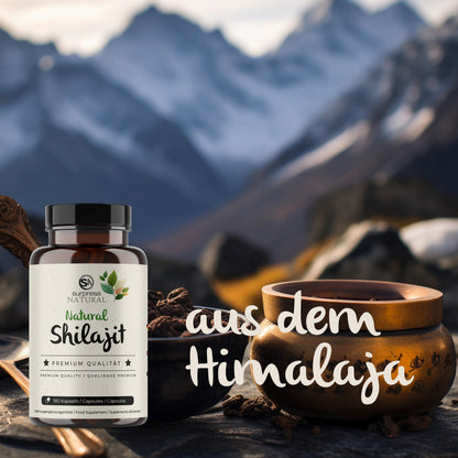 Shilajit Kapseln Lifestyle – ayurvedische Ursubstanz