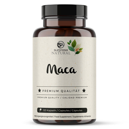 Maca Kapseln Dose – 1000mg peruanische Maca-Wurzel
