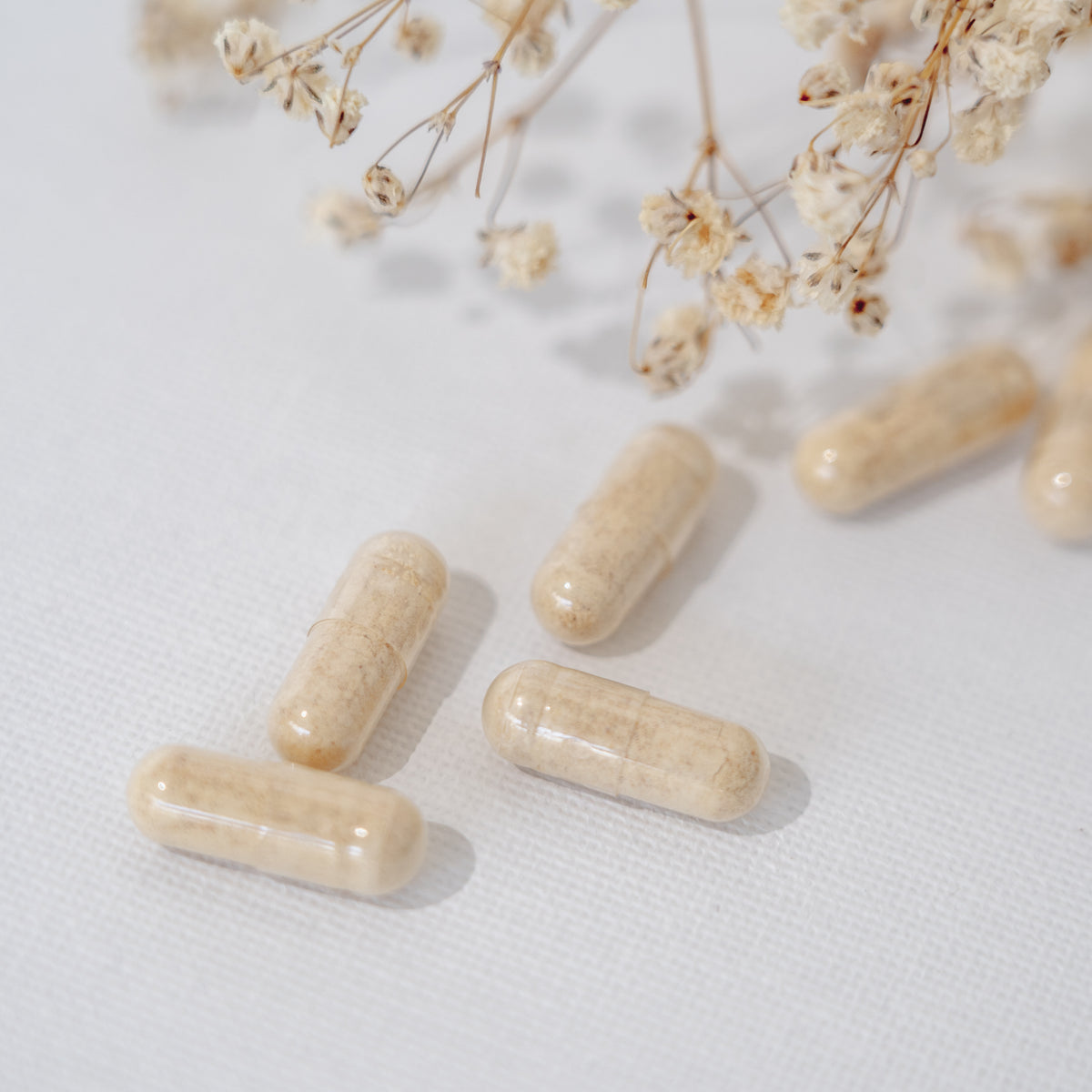 Maca Capsules