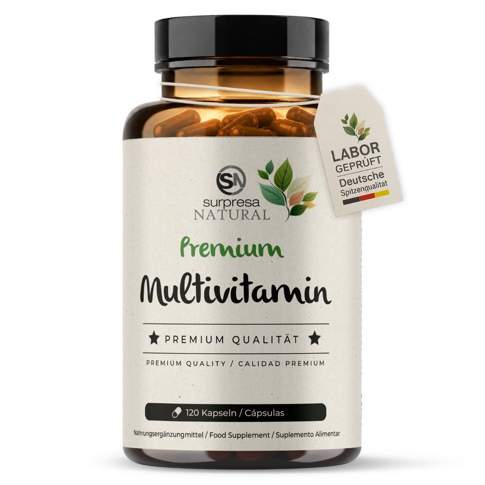 Multivitamin Premium Kapseln Dose – 22 Vitamine und Mineralien
