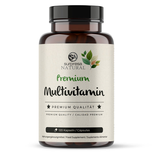 Multivitamin Premium Kapseln Dose – 22 Vitamine und Mineralien