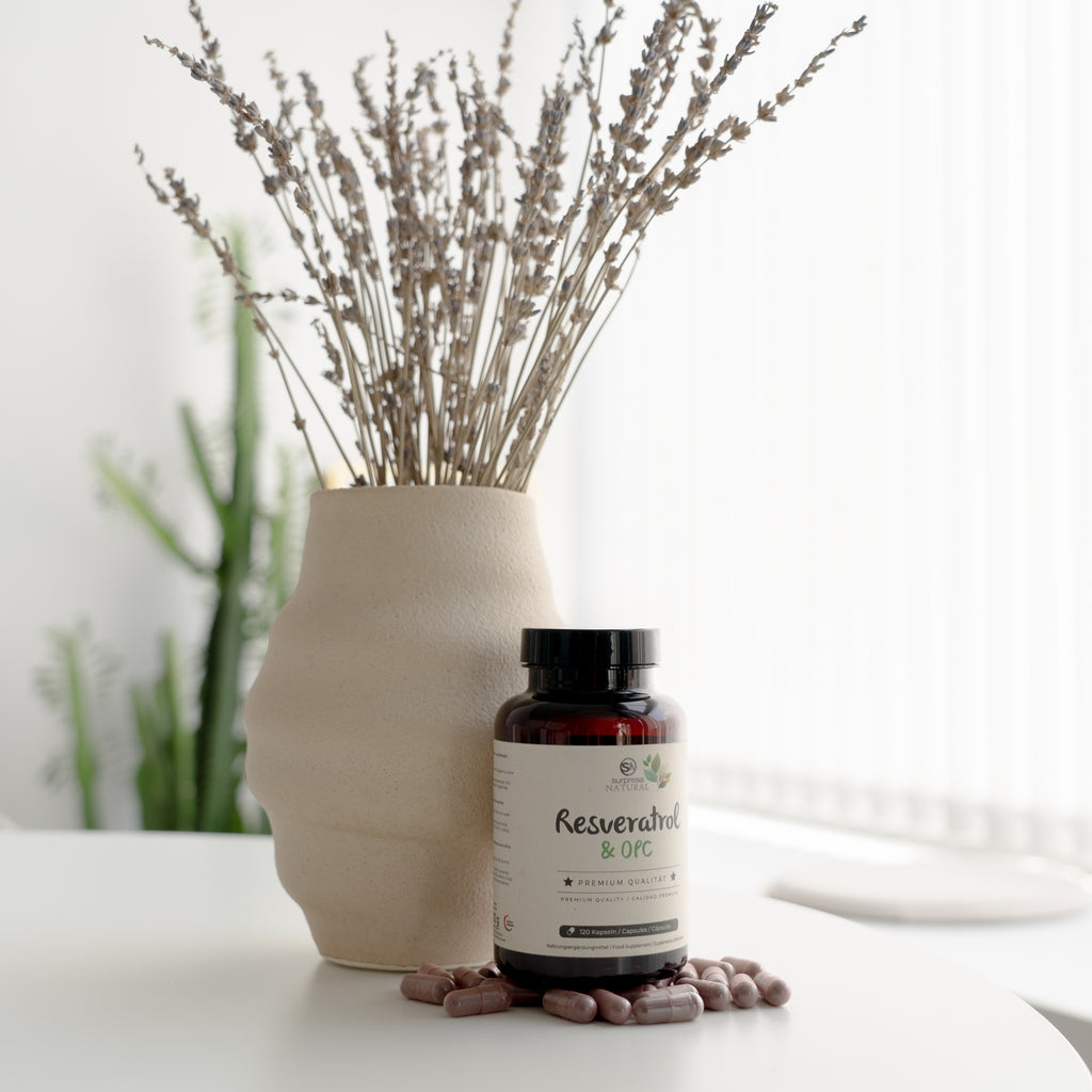 Resveratrol OPC Komplex – Polyphenole, hochdosiert