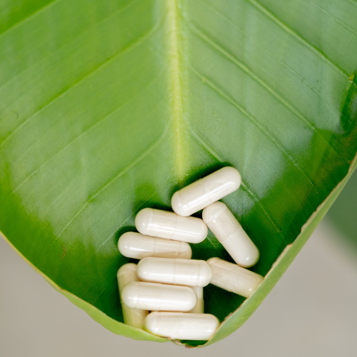 L-Tryptophan hochdosiert – Serotonin-Vorstufe, vegan