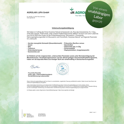 Glucosamine & Chondroitin Capsules