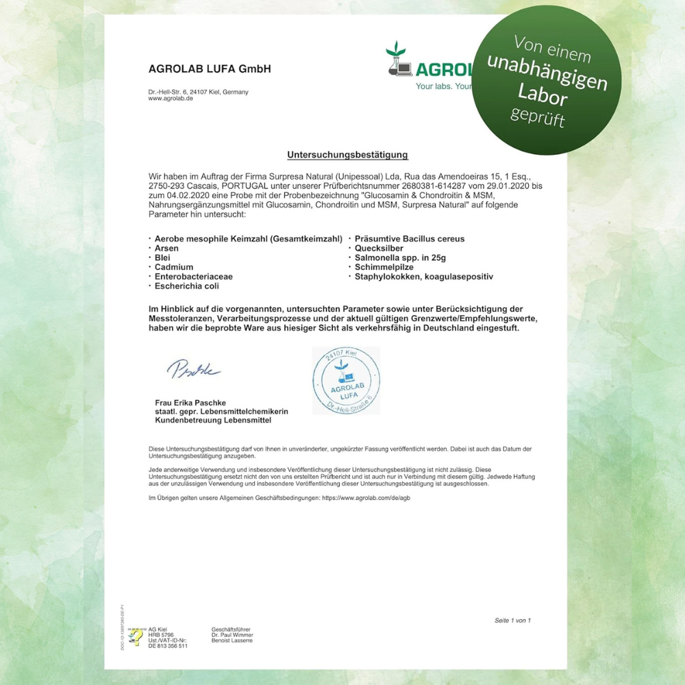 Glucosamine, Chondroitin & MSM Capsules