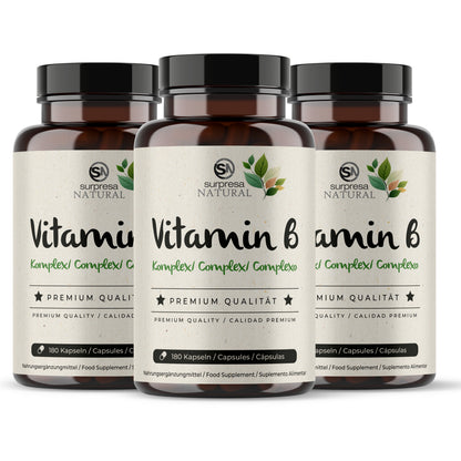 Vitamin B Komplex 3er Sparpack – 3 Dosen Mengenrabatt