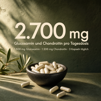 Glucosamine & Chondroitin Capsules