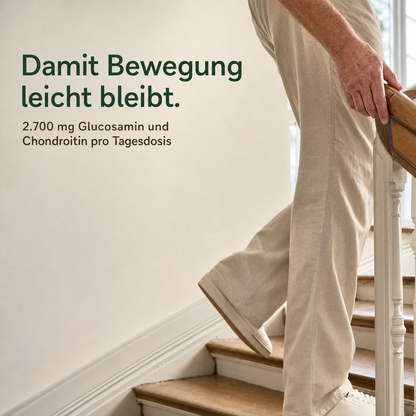 Glucosamine & Chondroitin Capsules