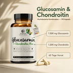 Glucosamine & Chondroitin Capsules