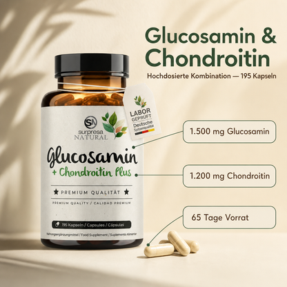 Glucosamine & Chondroitin Capsules