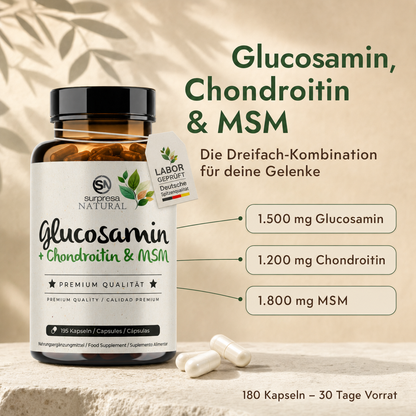 Glucosamine, Chondroitin & MSM Capsules
