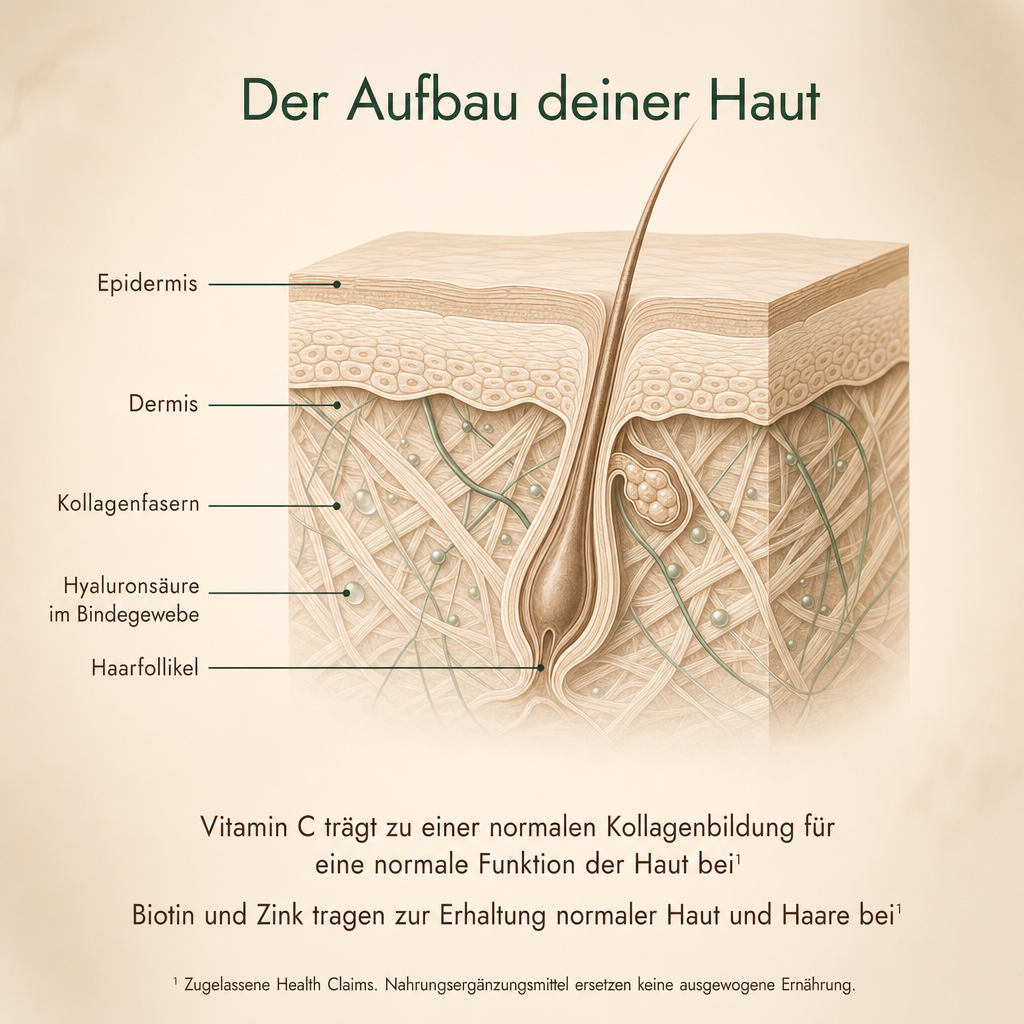 Collagen & Hyaluronic Acid Capsules