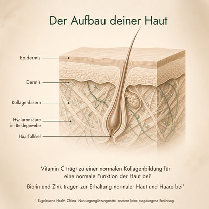 Collagen & Hyaluronic Acid Capsules